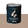 Discount Peinture Multi-supports Peinture muscade 2,5 L - 4MURS Peintures