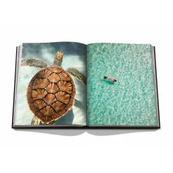 Fashion Livre voyage et nature JAMAICA VIBES - 4MURS Papeterie Et Livres