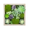 Sale Déco murale EDEN coloris vert - 4MURS Objets Muraux