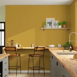 Sale Peinture Multi-supports Peinture curry Satiné - 4MURS Peintures