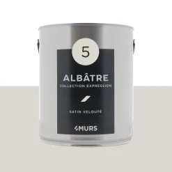 Sale Peinture Multi-supports Peinture blanc albâtre Satiné Peintures
