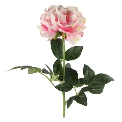 Discount Fleur artificielle PIVOINE ROSALINE coloris vert - 4MURS Déco Végétale
