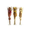 Outlet Fleurs séchées ARRANGMENT IN BOTTLE DRIED FLOWERS Ø6X40CM C/3 Jaune / Rouge Déco Végétale