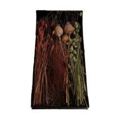 Online Fleurs séchées FLEURS SÉCHÉES ELINA coloris multicolore - 4MURS Déco Végétale