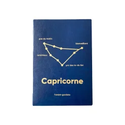 Online Carnet ASTRO CAPRICORNE coloris bleu - 4MURS Papeterie Et Livres