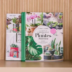 Sale Livre voyage et nature PETIT LAROUSSE DES PLANTES D'INTÉRIEURS - 4MURS Papeterie Et Livres