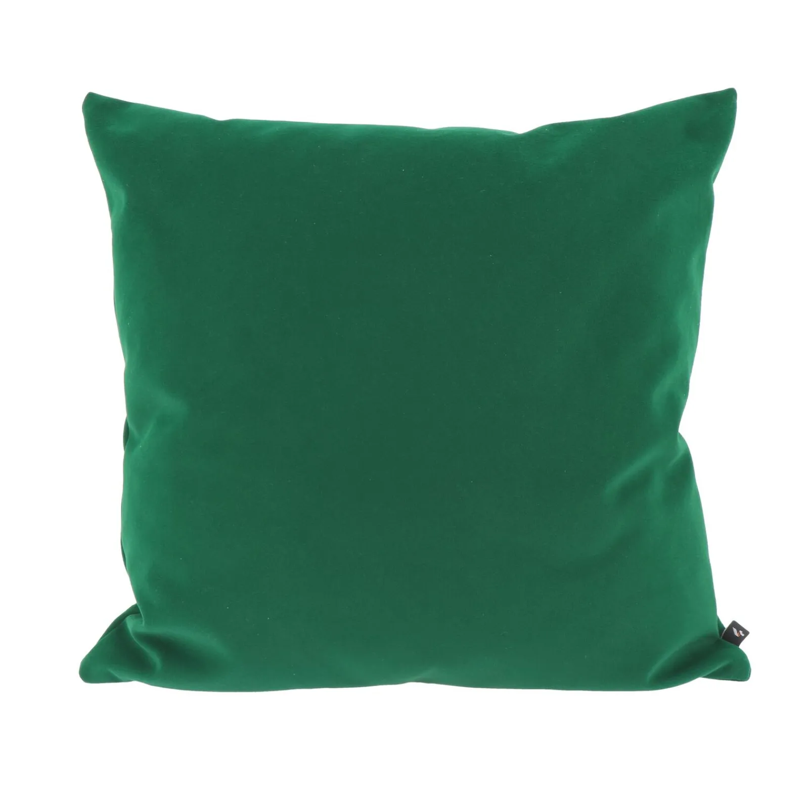 Best Coussin TASOS coloris vert sapin 45 x 45 cm - Coussins