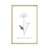 New Image sous verre DOUCE CAMPAGNE MARGUERITE 20 x 30 cm - Enfant Déco Murale Enfant|Tableaux Et Affiches