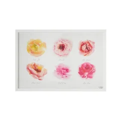 Fashion Image sous verre ROSERAIE 60 x 40 cm - Tableaux Et Affiches