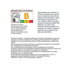Hot Peinture MONOCOUCHE PLAFONDS TACHES Peinture blanc - Peintures