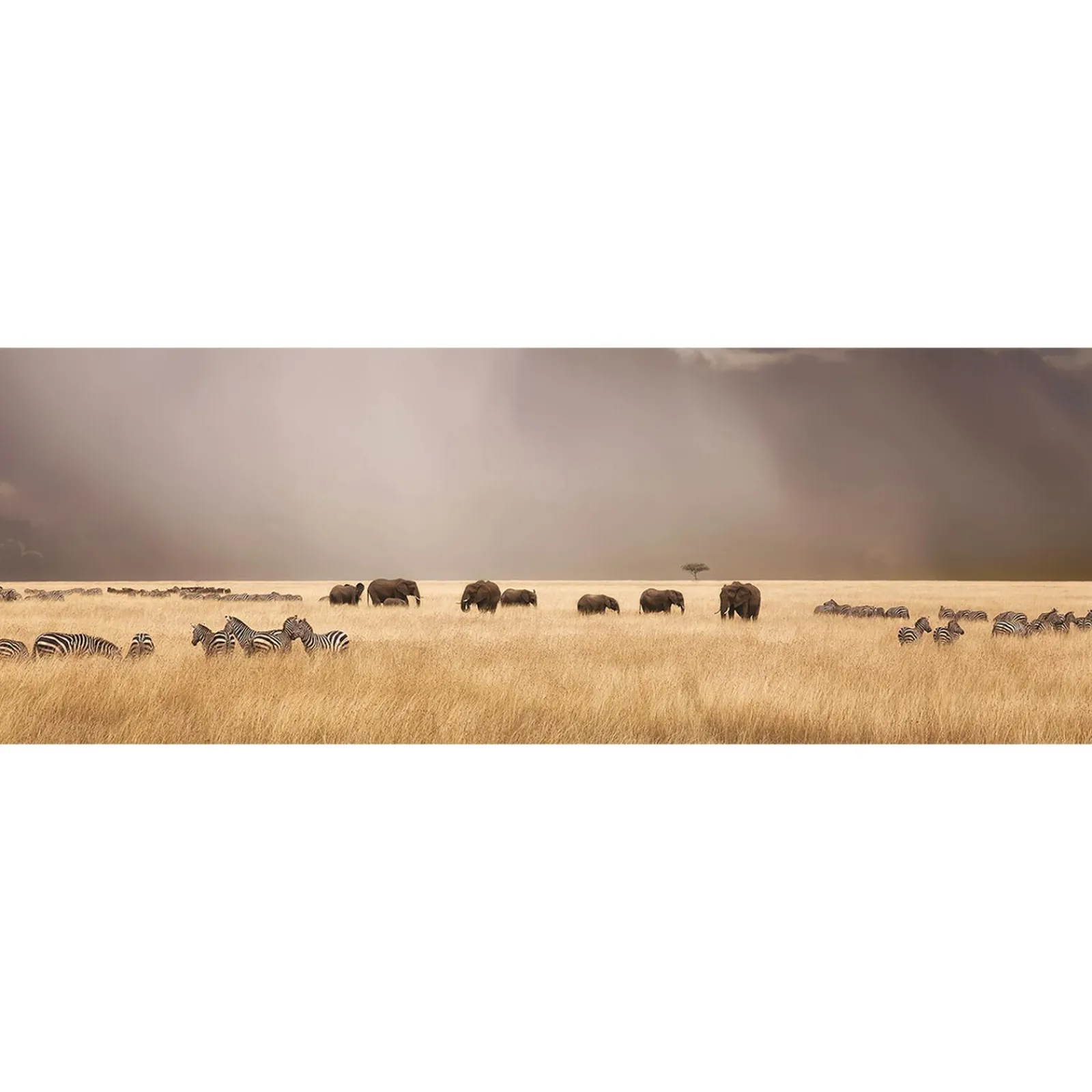 Discount Tableau DIERE coloris brun - Tableaux Et Affiches