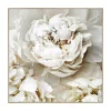Online Tableau embelli NUDE POESIE coloris beige - Tableaux Et Affiches