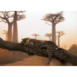 Discount Tableau LEOPARD coloris orange - Tableaux Et Affiches