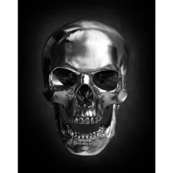 Sale Toile imprimée DARK SKULL 70 x 100 cm - Tableaux Et Affiches