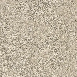 Hot Papier peint intissé SUBLIME coloris taupe - 4MURS Papiers Peints