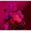Fashion Papier peint panoramique XL GRAPPOLO 300 x 270 cm fuchsia - 4MURS Papiers Peints Panoramiques|Papiers Peints