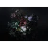 Clearance Papier peint panoramique XL FILAMENE 400 x 270 cm vert anglais et noir Papiers Peints Panoramiques|Papiers Peints