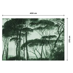 Hot Papier peint panoramique XL BOSQUET 400 x 270 cm vert anglais - 4MURS Papiers Peints Panoramiques|Papiers Peints