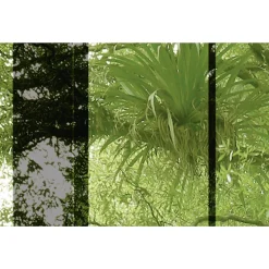 Online Papier peint panoramique XL TROPELIA 400 x 270 cm - 4MURS Papiers Peints Panoramiques|Papiers Peints