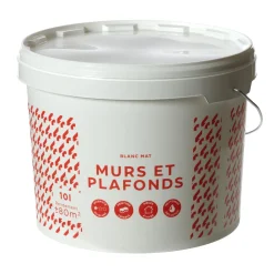 Outlet Peinture MURS ET PLAFONDS PRIX MALIN Peinture blanc 10 L - Peintures