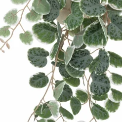 Best Plante artificielle CEROPEGIA coloris vert - 4MURS Déco Végétale
