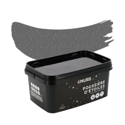 Hot Peinture Peinture gris Canopus 2 L - 4MURS Peintures
