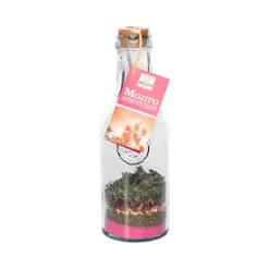 Online Mélange pour cocktail MOJITO FRAISE - 4MURS Boissons|Epicerie Sucrée