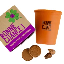 Clearance Kit MESSAGE BONNE CHANCE - TRÈFLE À 4 FEUILLES Activités En Plein Air|Jeux Et Diy