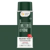 Discount Peinture Bombe de peinture vert foret Satiné 0,4 L Peintures