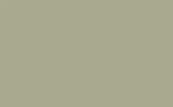 Hot Peinture Bombe de peinture kaki Satiné 0,4 L Peintures