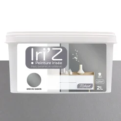 Clearance Peinture IRIZ Peinture gris du Gabon Brillant 2 L - 4MURS Peintures