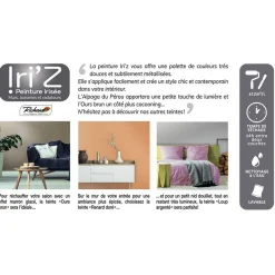 Clearance Peinture IRIZ Peinture gris du Gabon Brillant 2 L - 4MURS Peintures