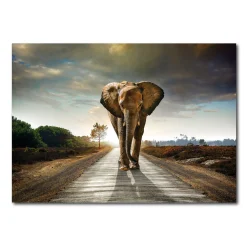 Discount Tableau en verre GANAPATI 100 x 70 cm - 4MURS Tableaux Et Affiches