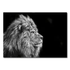 Best Tableau en verre NERGAL 100 x 70 cm - 4MURS Tableaux Et Affiches