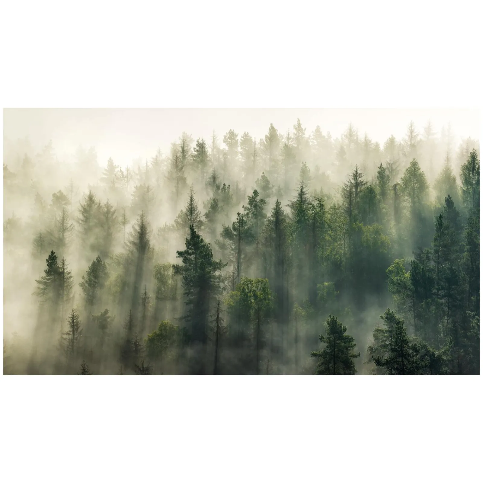 Discount Tableau FOREST coloris vert - 4MURS Tableaux Et Affiches